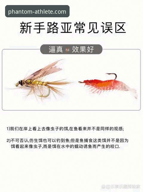 幻影体育注册教程推荐：新手如何快速上手并避开常见坑？
